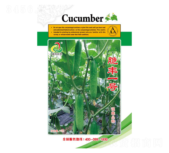 脆豐一號黃瓜種子-德利田豐農(nóng)業(yè)