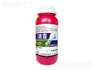清霜-對霜霉病有效-諾爾生物