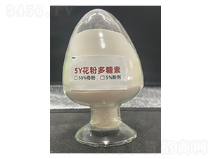 SY۶-